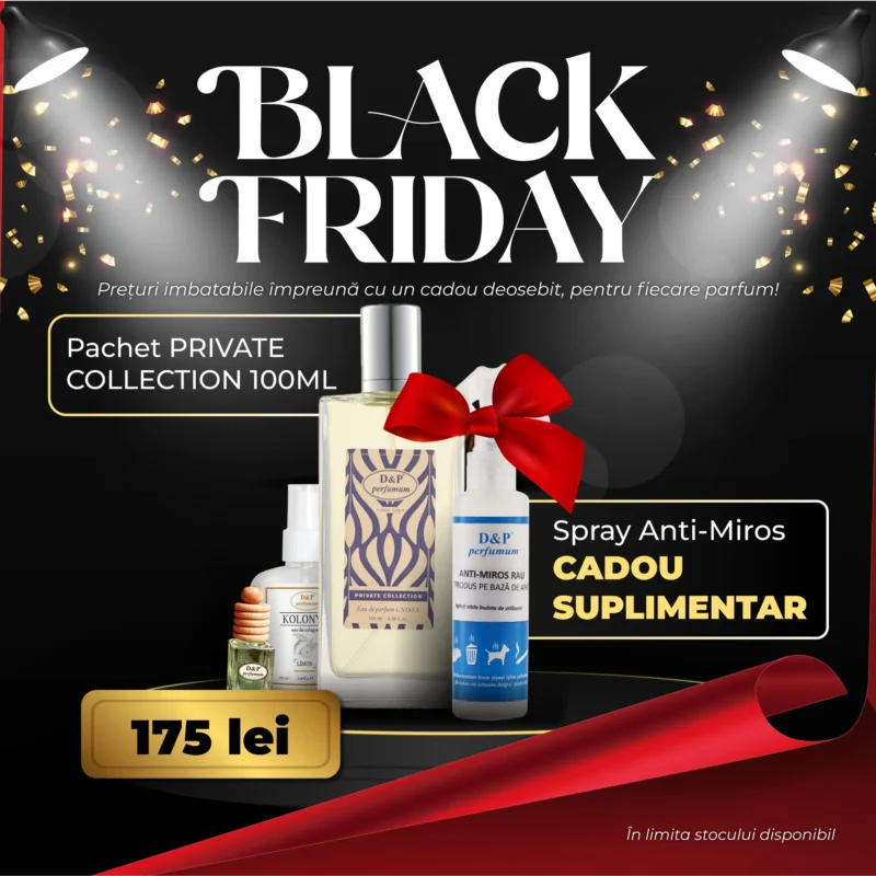 Site 2000x2000 Pachet 6