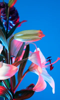 Category Floral