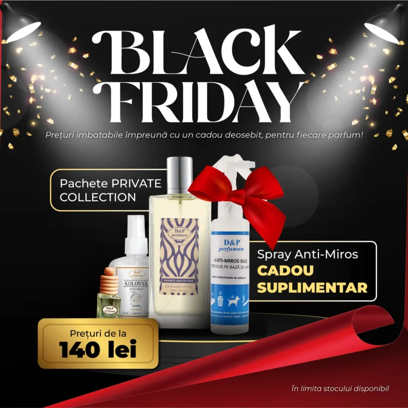 Site 2000x2000 Pachet 4