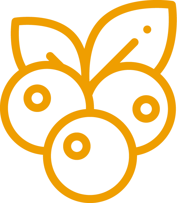 Eau de parfum mahonia