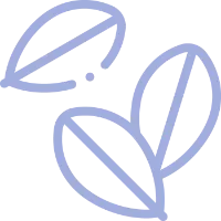 Eau de parfum frunze de ceai