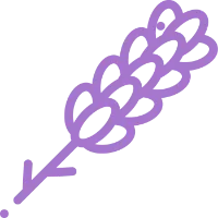 Eau de parfum lavanda