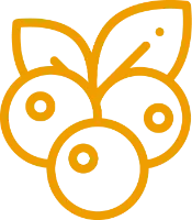 Eau de parfum merisor