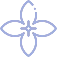 note ozonice iasomie